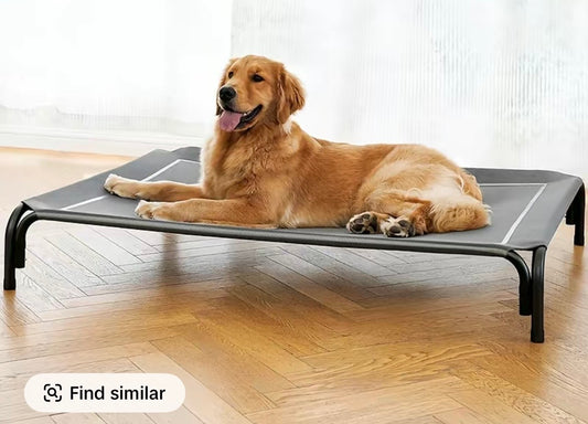 Elevated Dog Bed for Large Dogs, Cooling Pet Cot with Breathable Mesh & Durable Frame, Easy to Clean Raised Pet Mats for Indoor & Outdoor Home